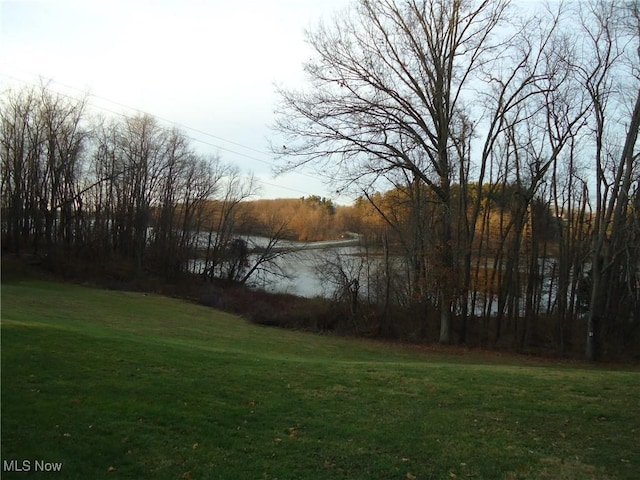 view of yard featuring a water view