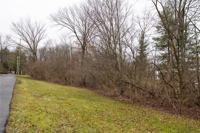 3737 Brecksville Rd, Richfield OH, 44286 land for sale