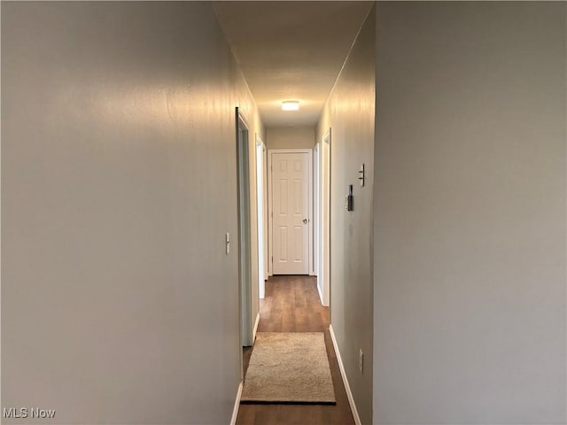 hallway with dark wood-type flooring