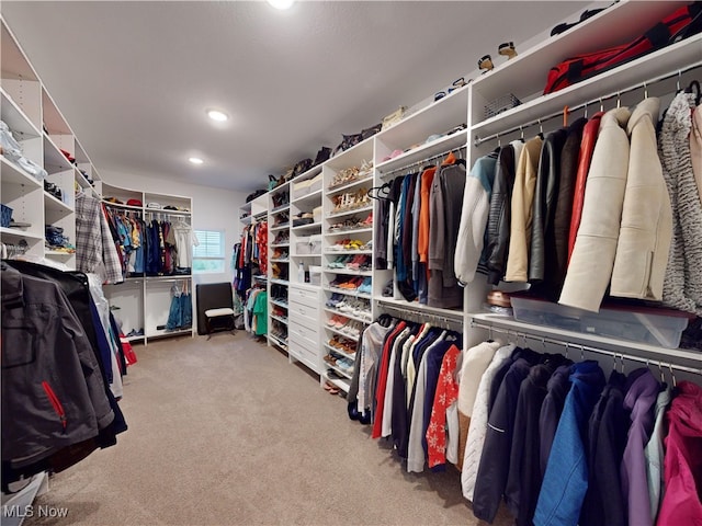 walk in closet featuring light carpet