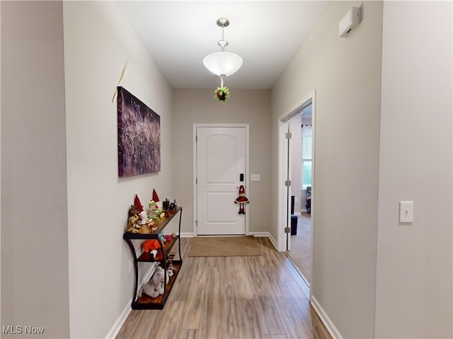 doorway to outside featuring wood-type flooring