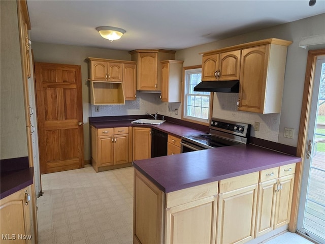 kitchen with sink, black dishwasher, and stainless steel electric range