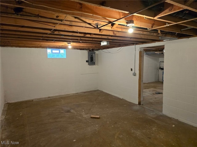 basement with electric panel