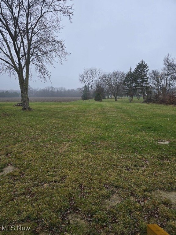 view of yard with a rural view