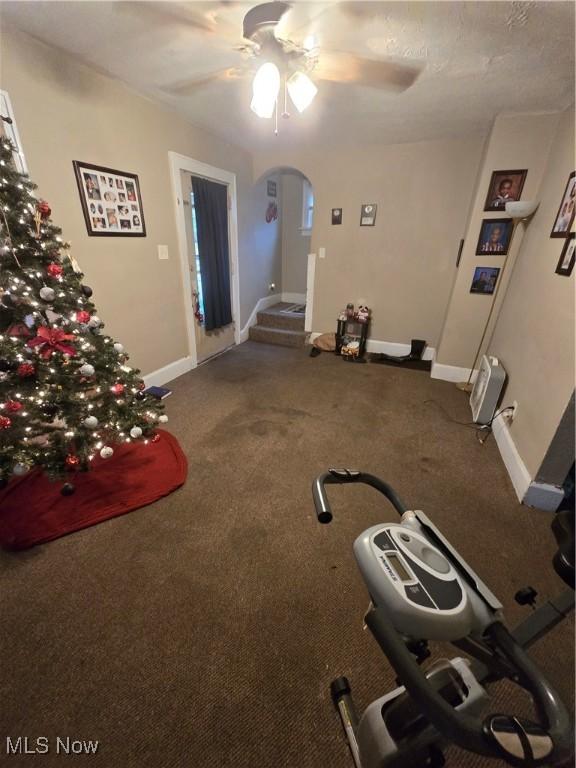 workout room featuring carpet and ceiling fan