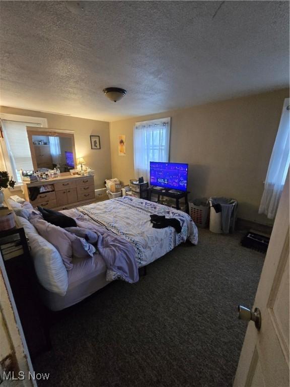 bedroom featuring carpet flooring and a textured ceiling