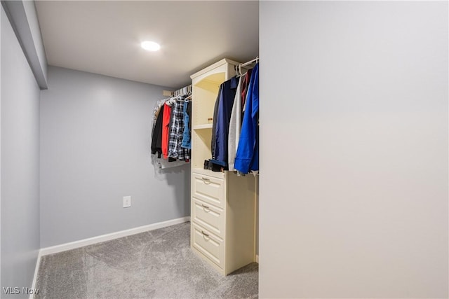 spacious closet with light carpet