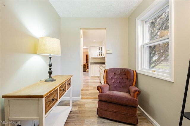 living area with light wood-type flooring, a textured ceiling, and a wealth of natural light