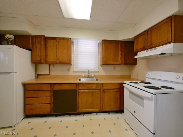 kitchen featuring a paneled ceiling, white appliances, and sink