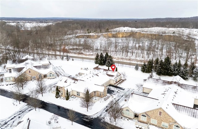 view of snowy aerial view