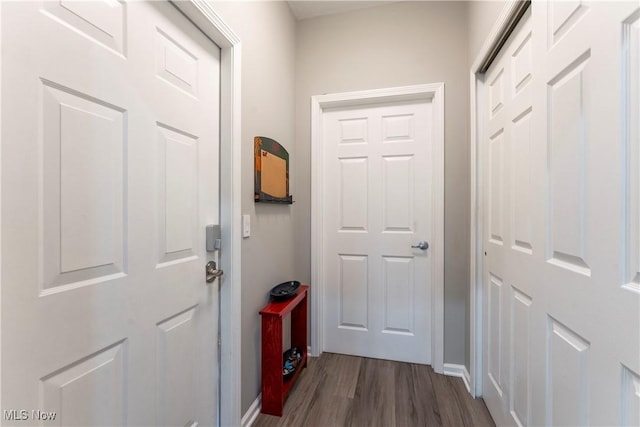 doorway featuring dark wood-type flooring