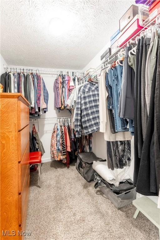 walk in closet with carpet flooring