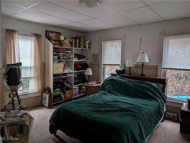 carpeted bedroom with a paneled ceiling and multiple windows