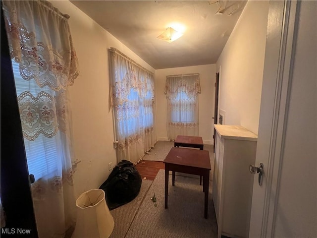 bathroom featuring hardwood / wood-style flooring