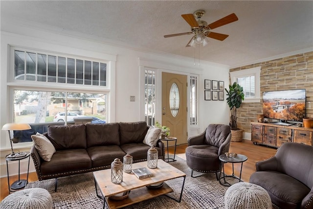 living room with a textured ceiling, light wood-type flooring, ceiling fan, and ornamental molding