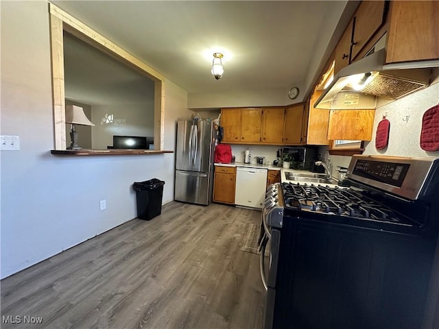 kitchen with stainless steel appliances, sink, and light wood-type flooring