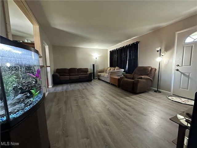 living room with hardwood / wood-style flooring