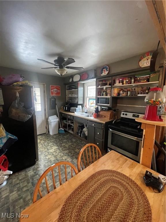 kitchen featuring appliances with stainless steel finishes, ceiling fan, and sink