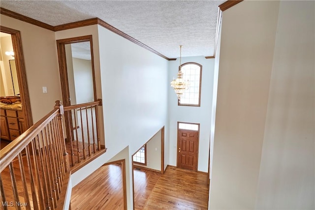 interior space featuring a textured ceiling, light hardwood / wood-style flooring, an inviting chandelier, and ornamental molding