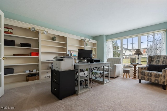 view of carpeted home office