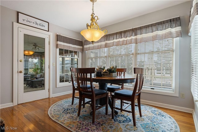 dining area featuring ceiling fan, hardwood / wood-style floors, and a healthy amount of sunlight