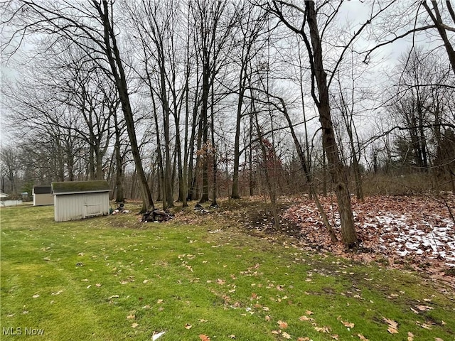 view of yard featuring a storage shed