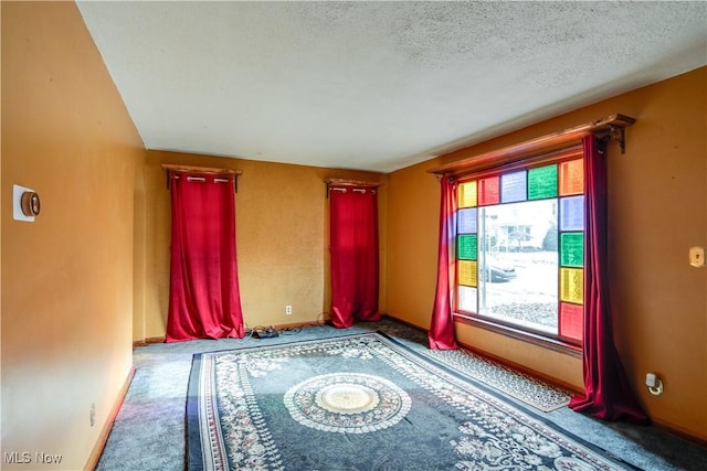 interior space with a textured ceiling and carpet floors