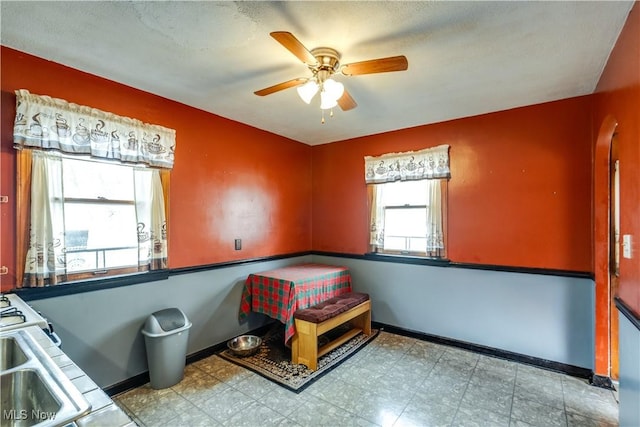 interior space featuring ceiling fan