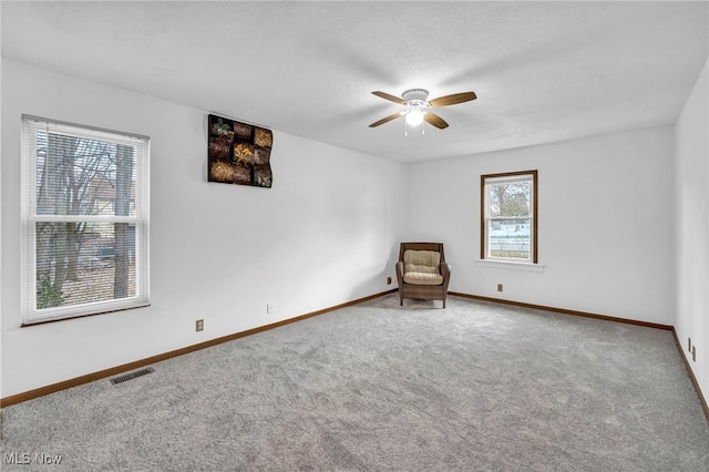 unfurnished room with carpet floors and a healthy amount of sunlight