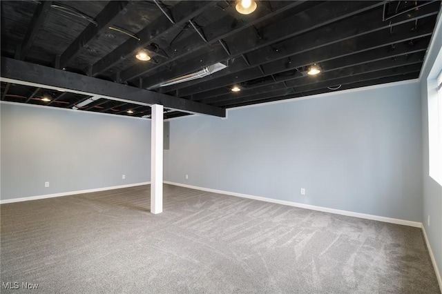 basement featuring carpet