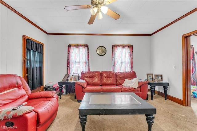 carpeted living room with ceiling fan and ornamental molding