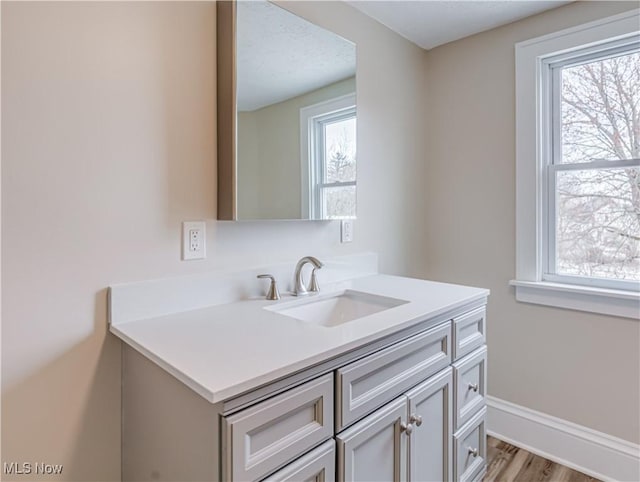 bathroom featuring hardwood / wood-style floors and vanity