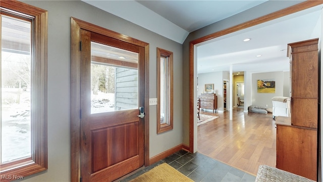 foyer entrance featuring dark wood-type flooring