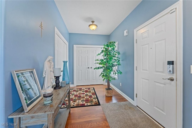 foyer with hardwood / wood-style flooring