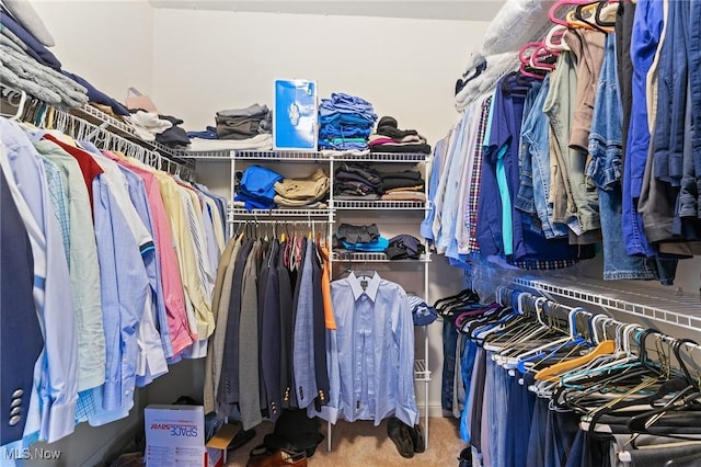 spacious closet with carpet floors