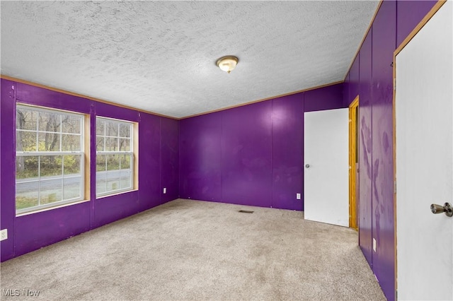 carpeted spare room featuring a textured ceiling