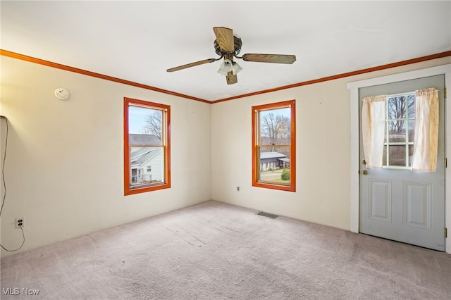 carpeted spare room with plenty of natural light, crown molding, and ceiling fan