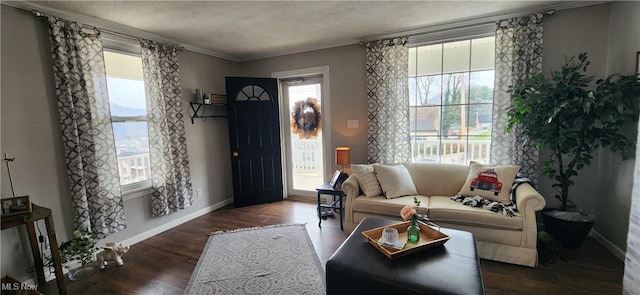 living room with a textured ceiling, dark hardwood / wood-style floors, a wealth of natural light, and ornamental molding