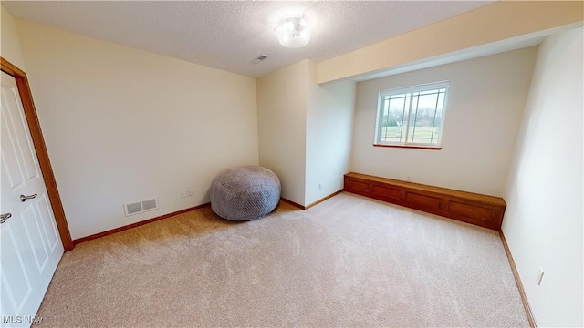 spare room featuring light carpet and a textured ceiling