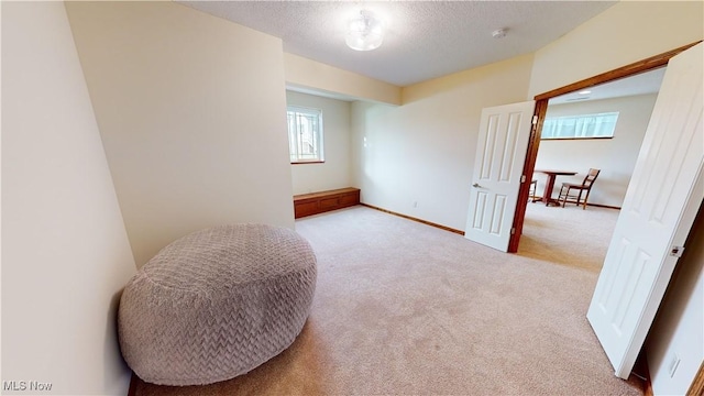 interior space featuring light carpet and a textured ceiling