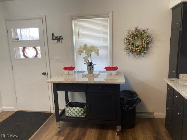 interior space featuring a baseboard radiator and dark hardwood / wood-style floors