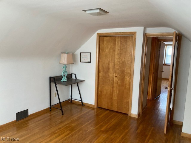 additional living space featuring dark wood-type flooring and lofted ceiling