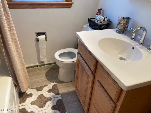 bathroom featuring hardwood / wood-style floors, vanity, and toilet