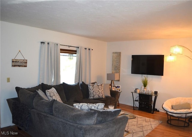 living room with hardwood / wood-style floors