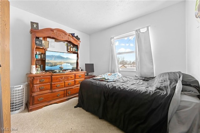 bedroom featuring carpet and a textured ceiling