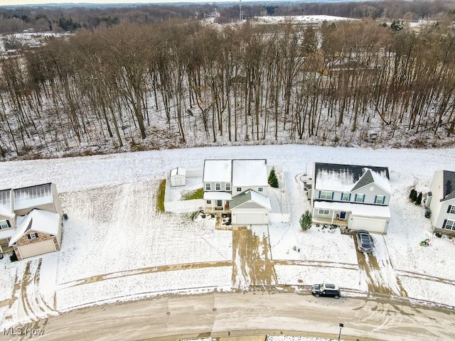 view of snowy aerial view