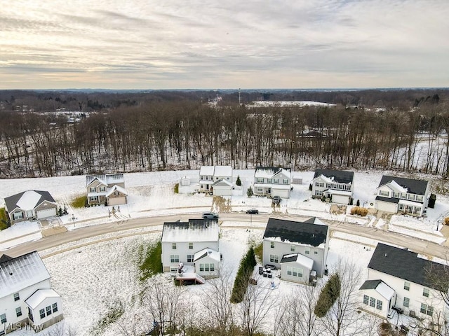 view of snowy aerial view