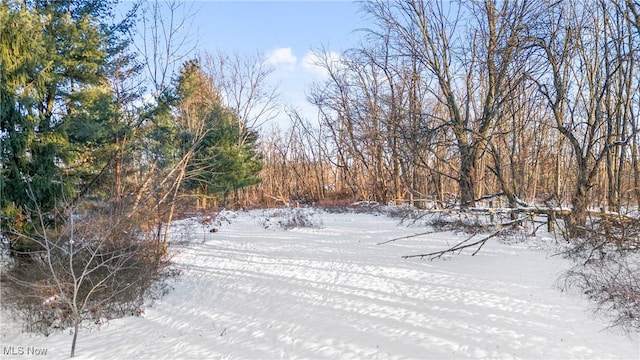 view of snowy yard