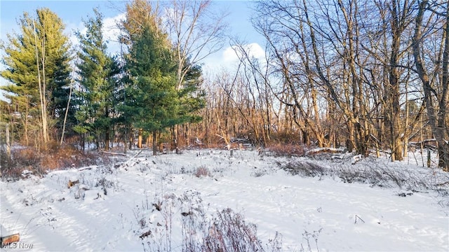 view of snow covered land