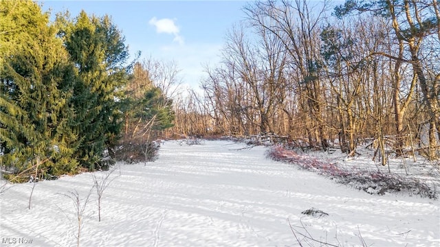 view of yard covered in snow